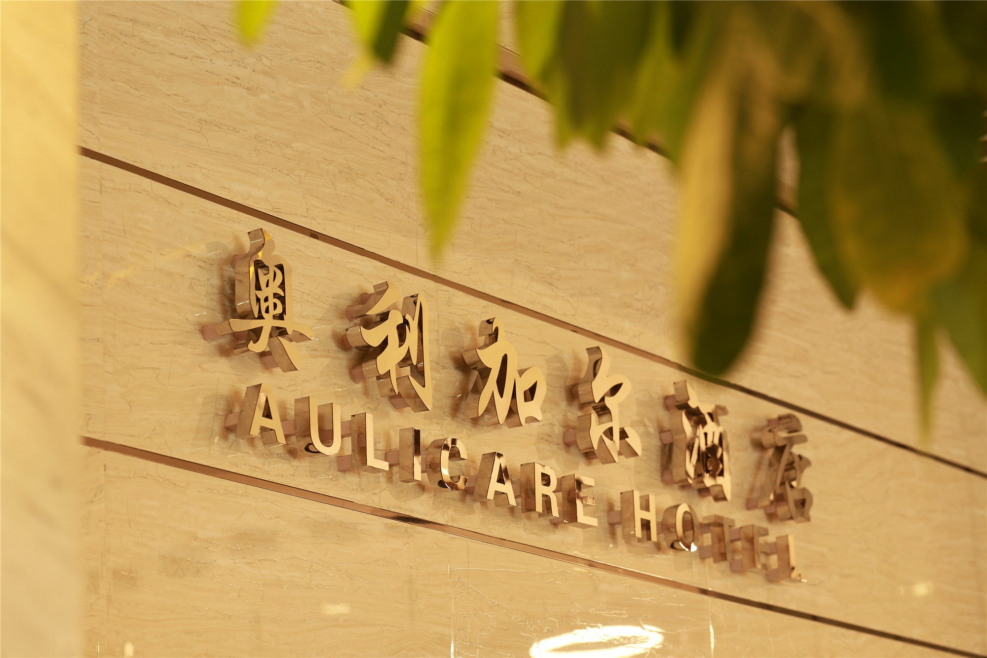 Aulicare Collection Hotel Χαρμπίν Εξωτερικό φωτογραφία